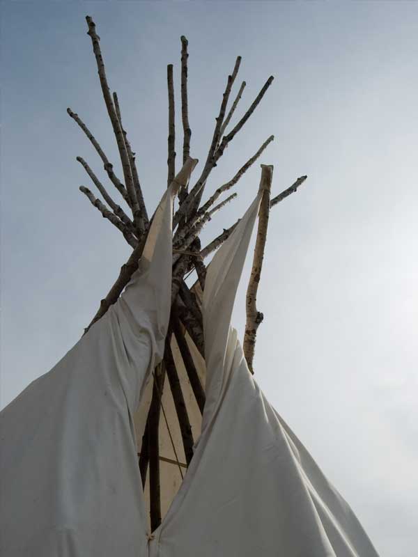 tipi